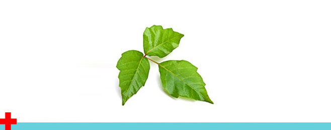 Poison Ivy Urgent Care Treatment Near Me in Kingwood, TX
