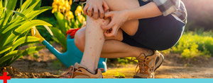 Environmental Injury Treatment Doctor Near Me in Kingwood, TX Environmental Injury Treatment Doctor Near Me in Kingwood, TX